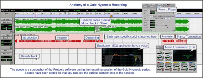 gold_session.jpg