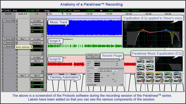 paralinear_session.jpg