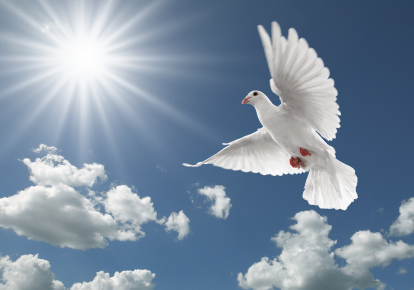 peace.jpg