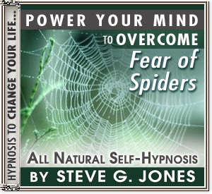bigmp3spiders.jpg