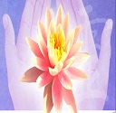 Study Reiki